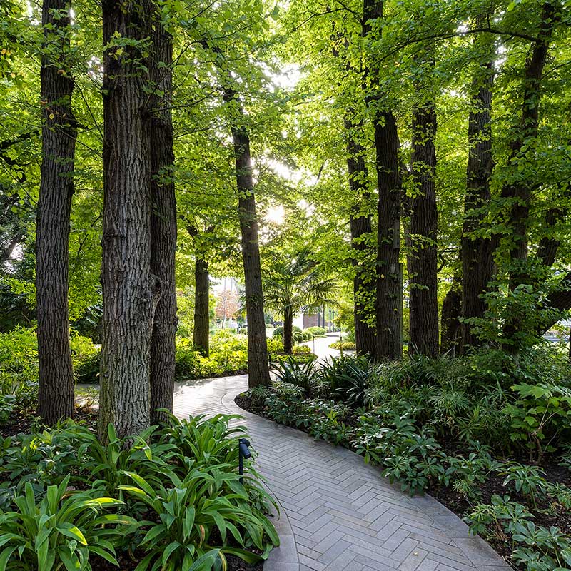 Ian Barker Gardens